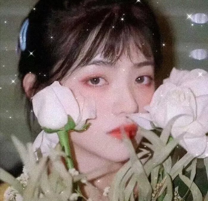 少女恋情